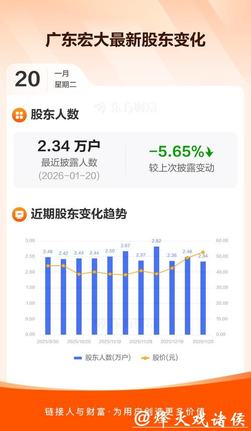广东宏大股价异动，资金分歧与业绩分化引关注