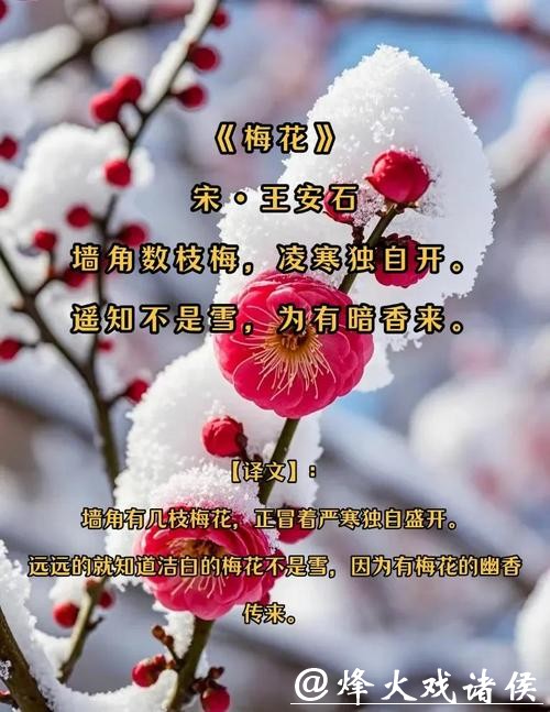 又闻蜡梅香，它点亮春天，却从不张扬